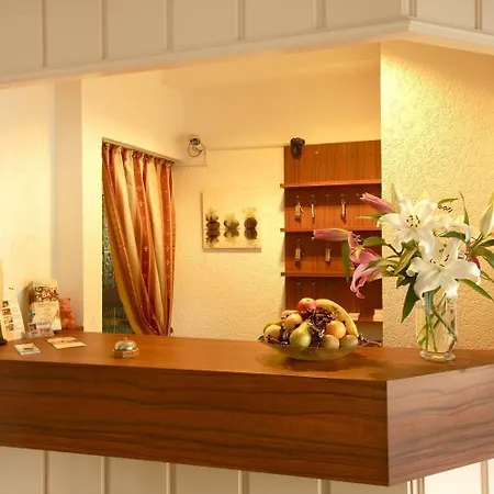 Hotel City Hotel Hanau 3*