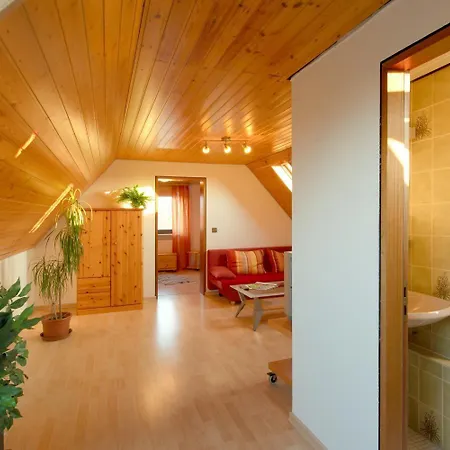 City Hotel Hanau 3* Ханау-на-Майне