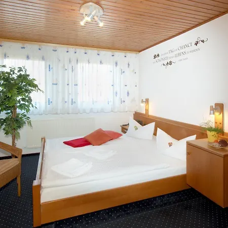 City Hotel Hanau Отель