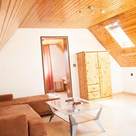 Отель City Hotel Hanau 3*