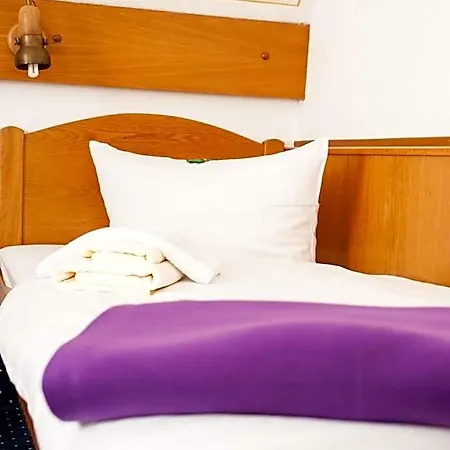 City Hotel Hanau Hotel 3*