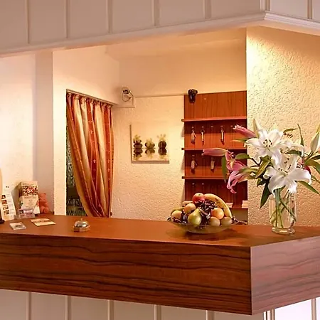 Hotel City Hotel Hanau 3*