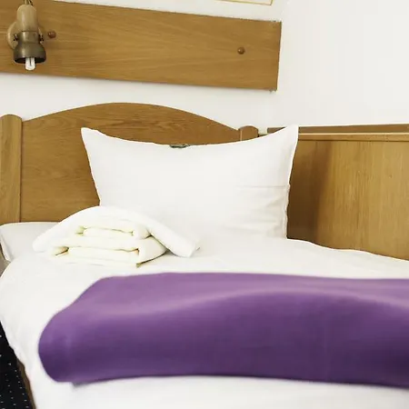 Отель City Hotel Hanau