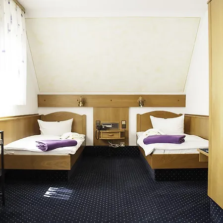 City Hotel Hanau Hotel 3*