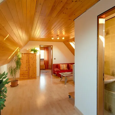 City Hotel Hanau 3* Ханау-на-Майне