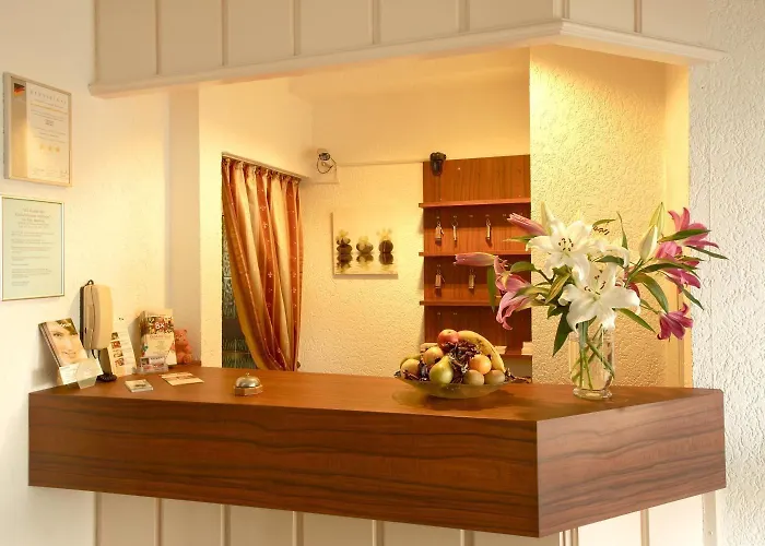 酒店 哈瑙城市酒店 3*