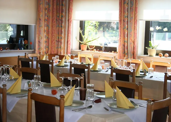 酒店 哈瑙城市酒店 3*