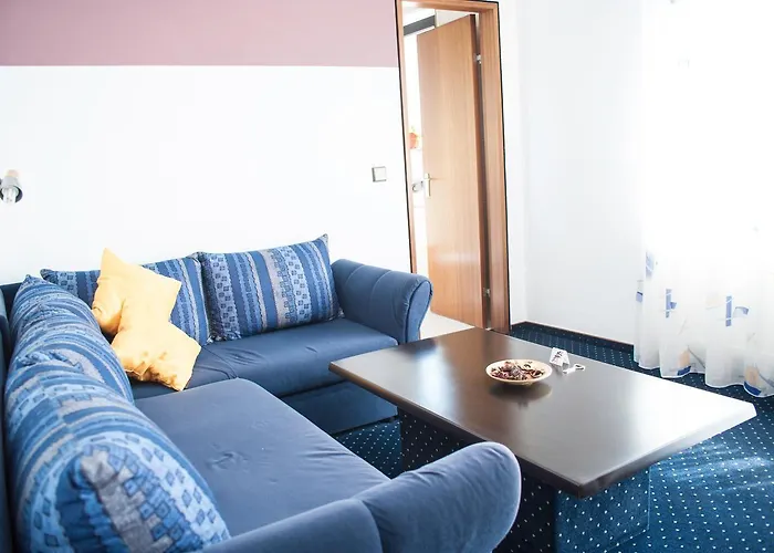 酒店 哈瑙城市酒店 3*