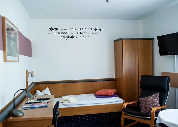 哈瑙城市酒店 酒店 美茵河畔哈瑙