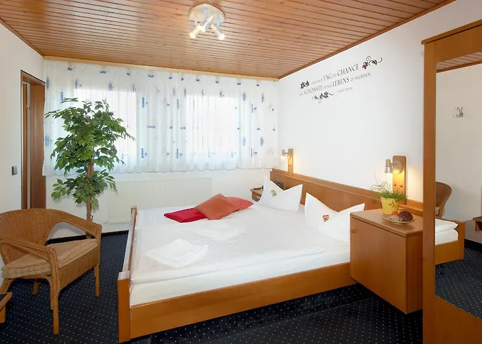 哈瑙城市酒店 酒店