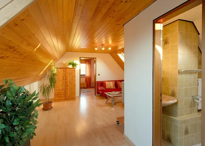 哈瑙城市酒店 3* 美茵河畔哈瑙